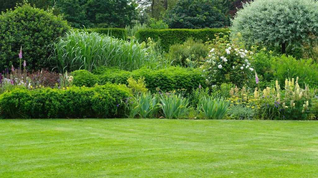 Top-14 Eco-Friendly Gardening Tips