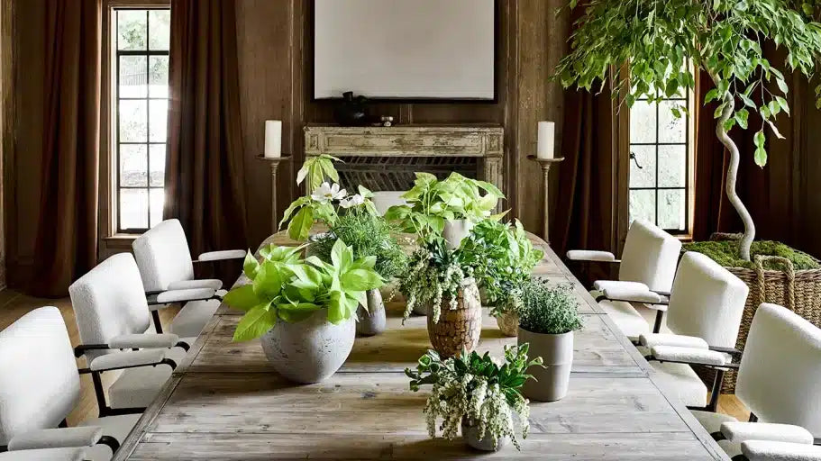 Useful Tips For Decorating Interior With Houseplants