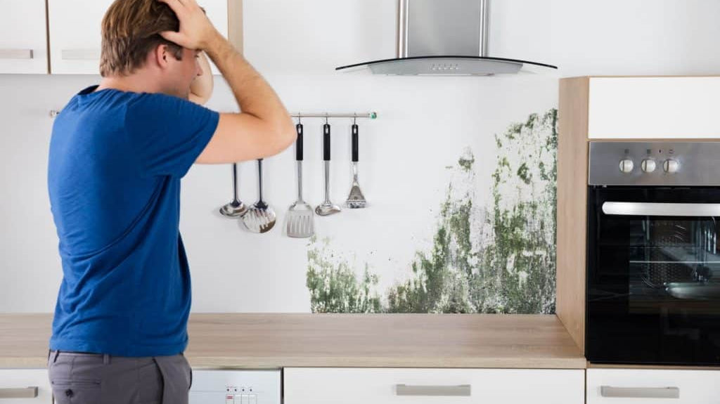 Effective tips and tricks on how to prevent mold in your home