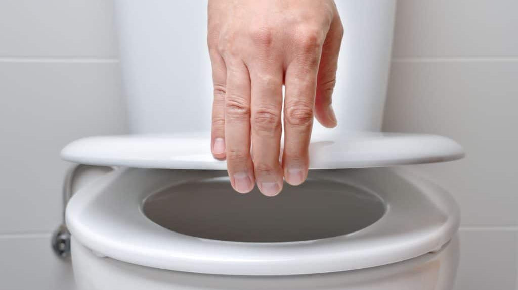DIY: How to install or replace the toilet lid. Step-by-step.