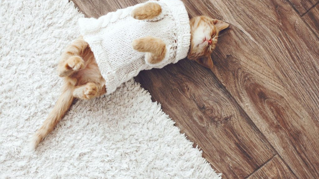 Top 10 popular floor coverings