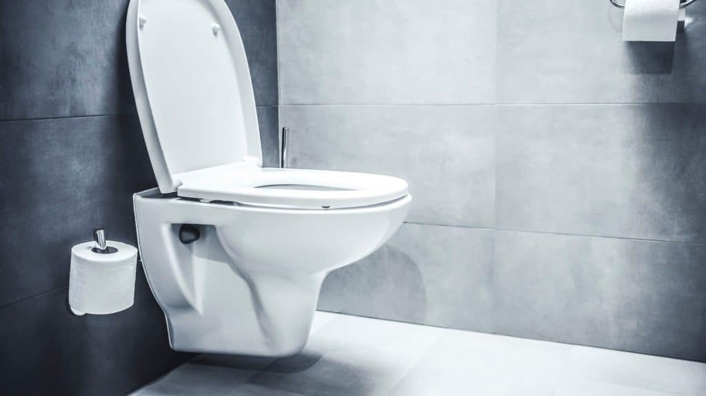 Wall-mounted toilets – is the comfort worth the difficulty of installation