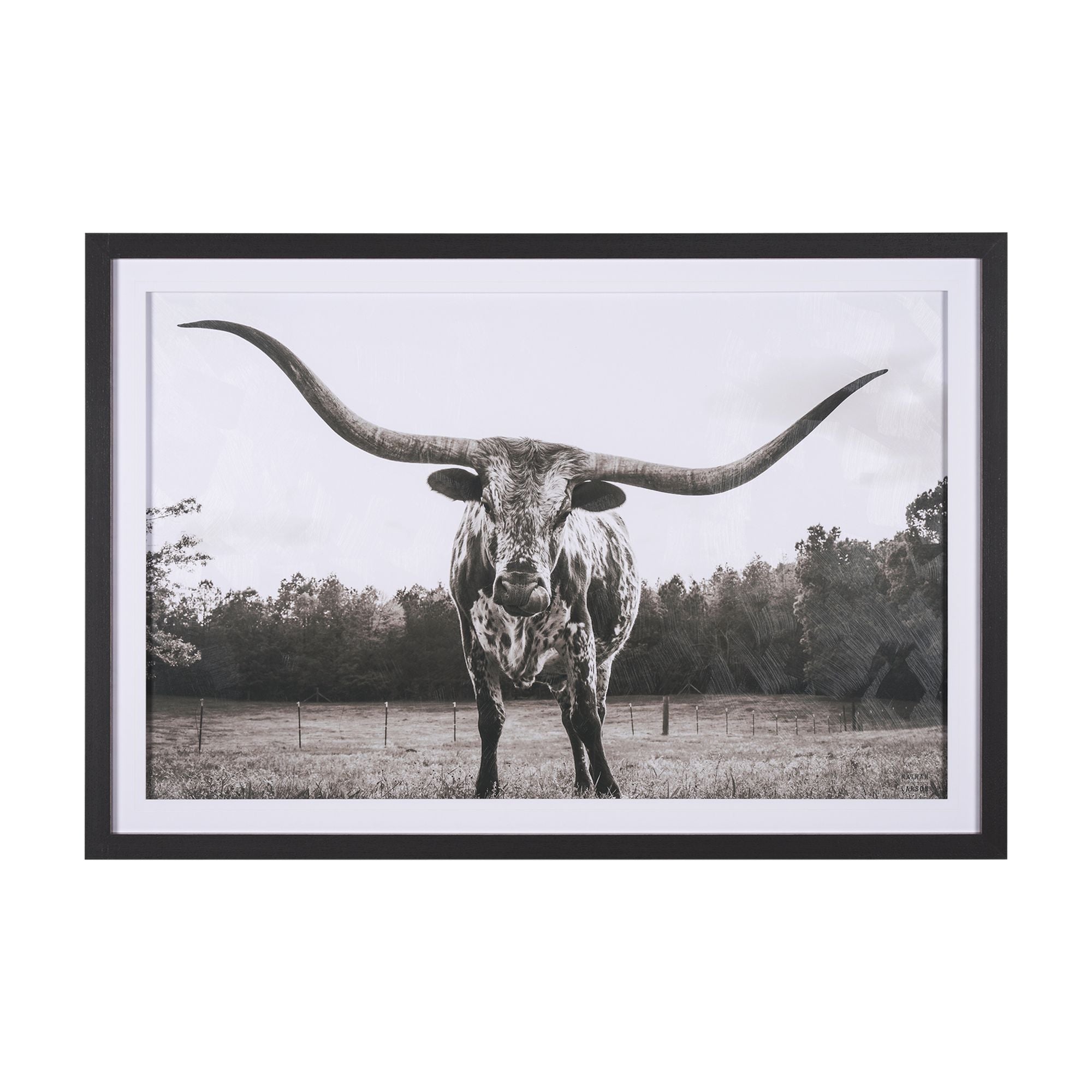 Mercana - Longhorn Last Call BW