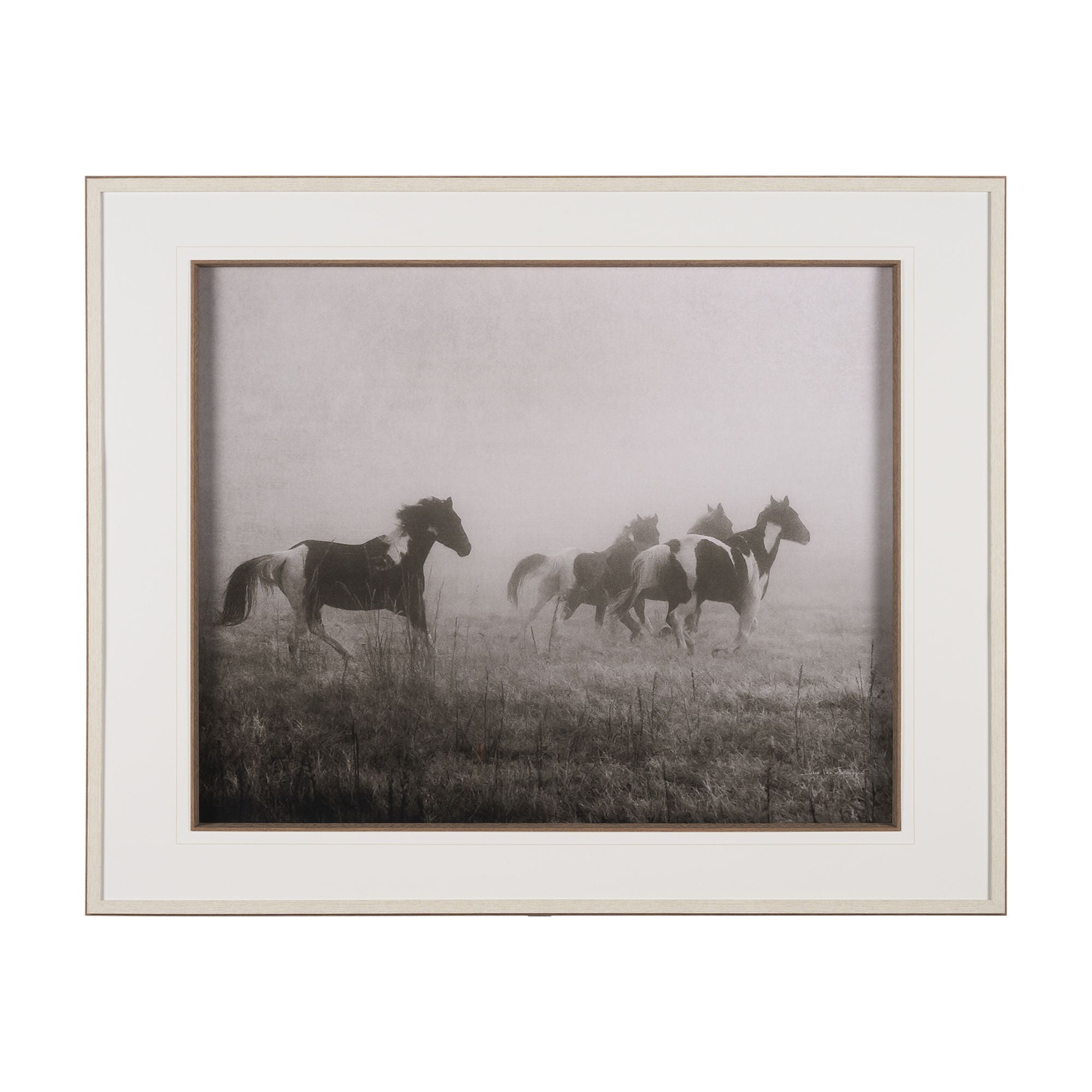 Mercana - Painted Horses on the Run