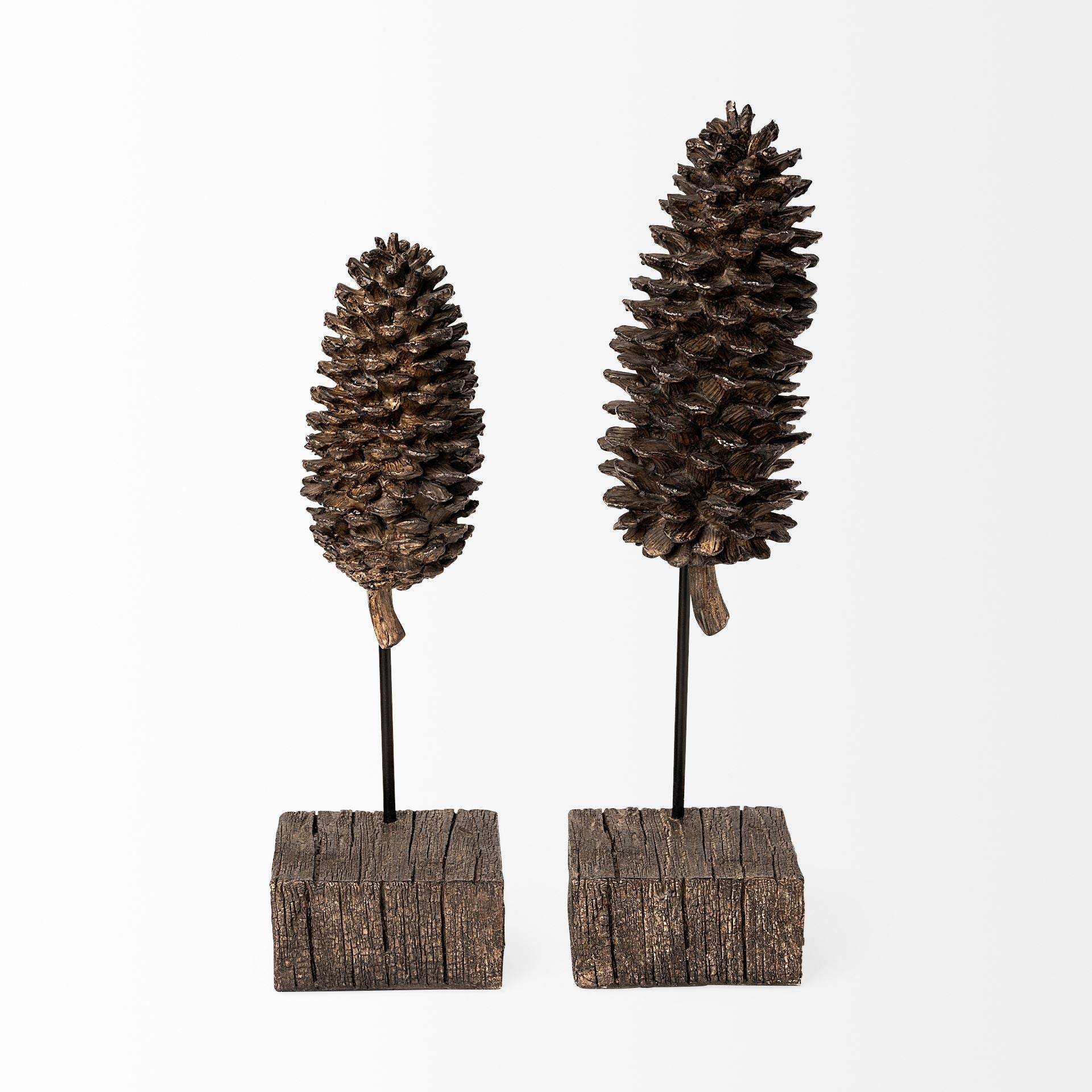 Mercana - Pinterra Object in Brown, Solid Wood