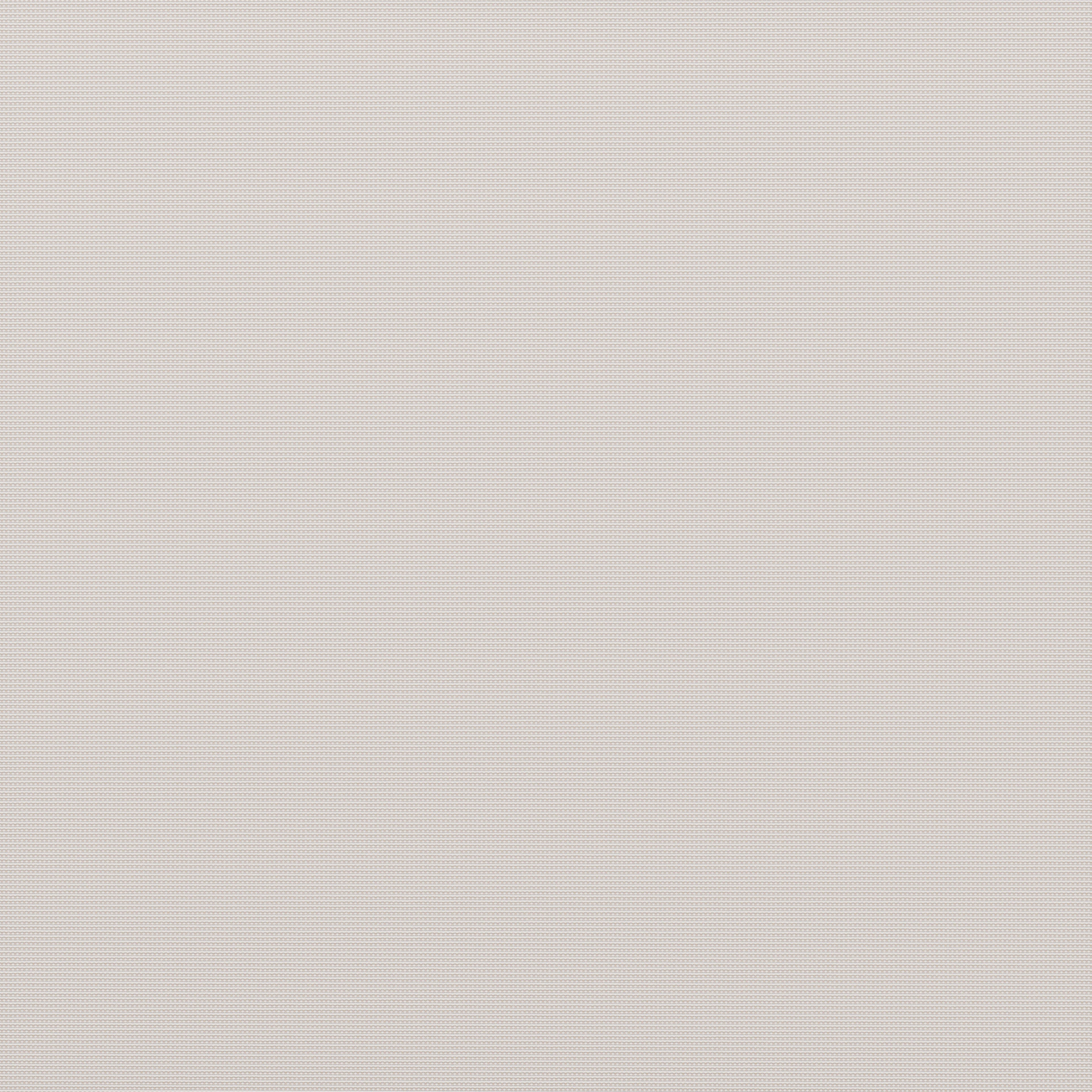 ZUO - Quadrat Dining Chair in White