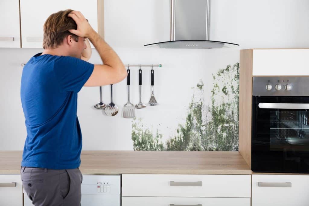 Effective tips and tricks on how to prevent mold in your home