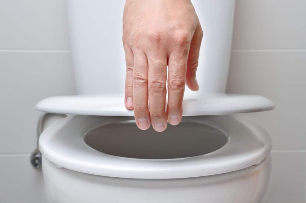 DIY: How to install or replace the toilet lid. Step-by-step.
