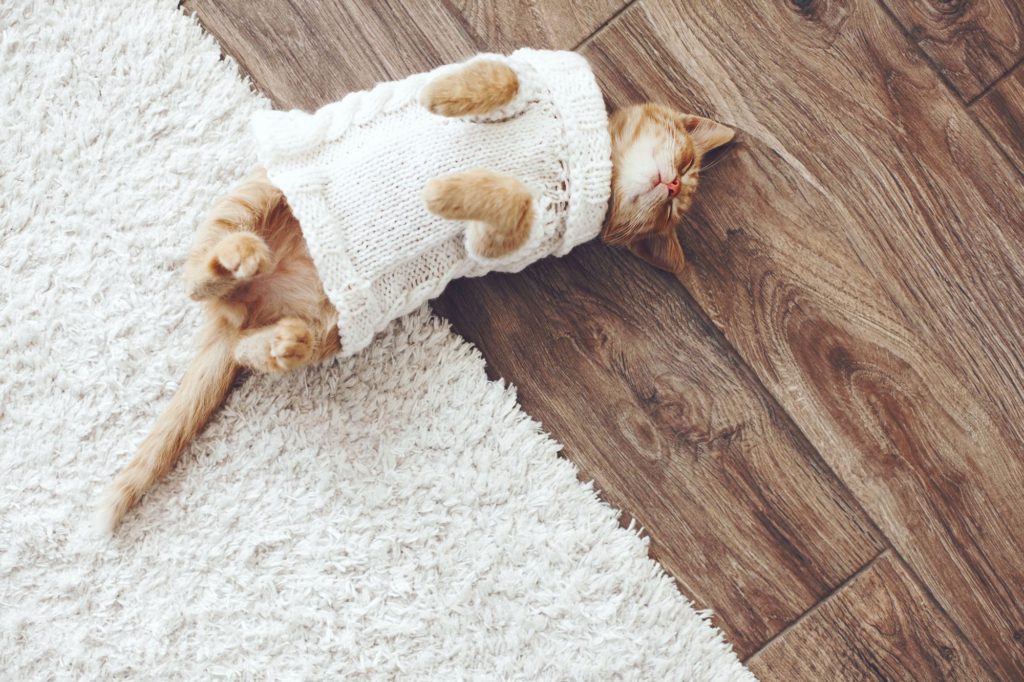 Top 10 popular floor coverings