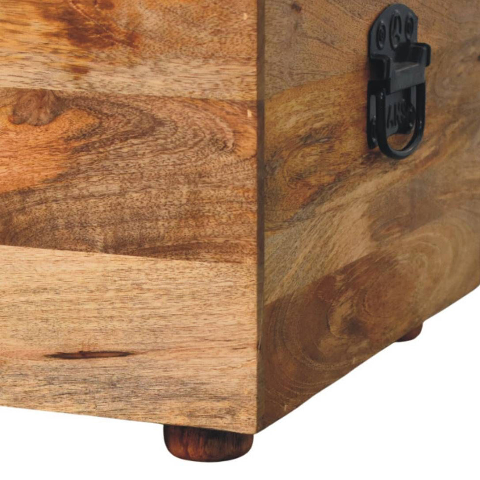 Artisan - Beige Buffalo Hide Leather Storage Trunk