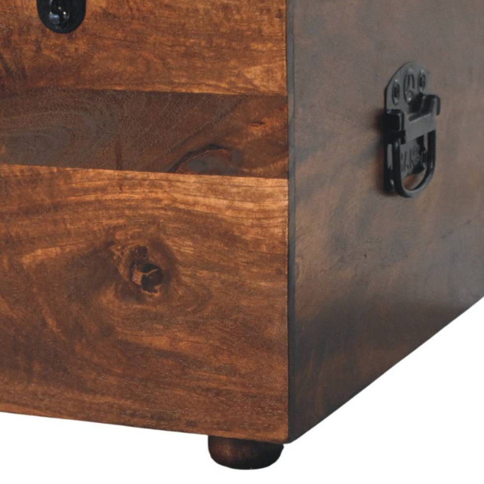 Artisan - Brown Buffalo Hide Leather Storage Trunk