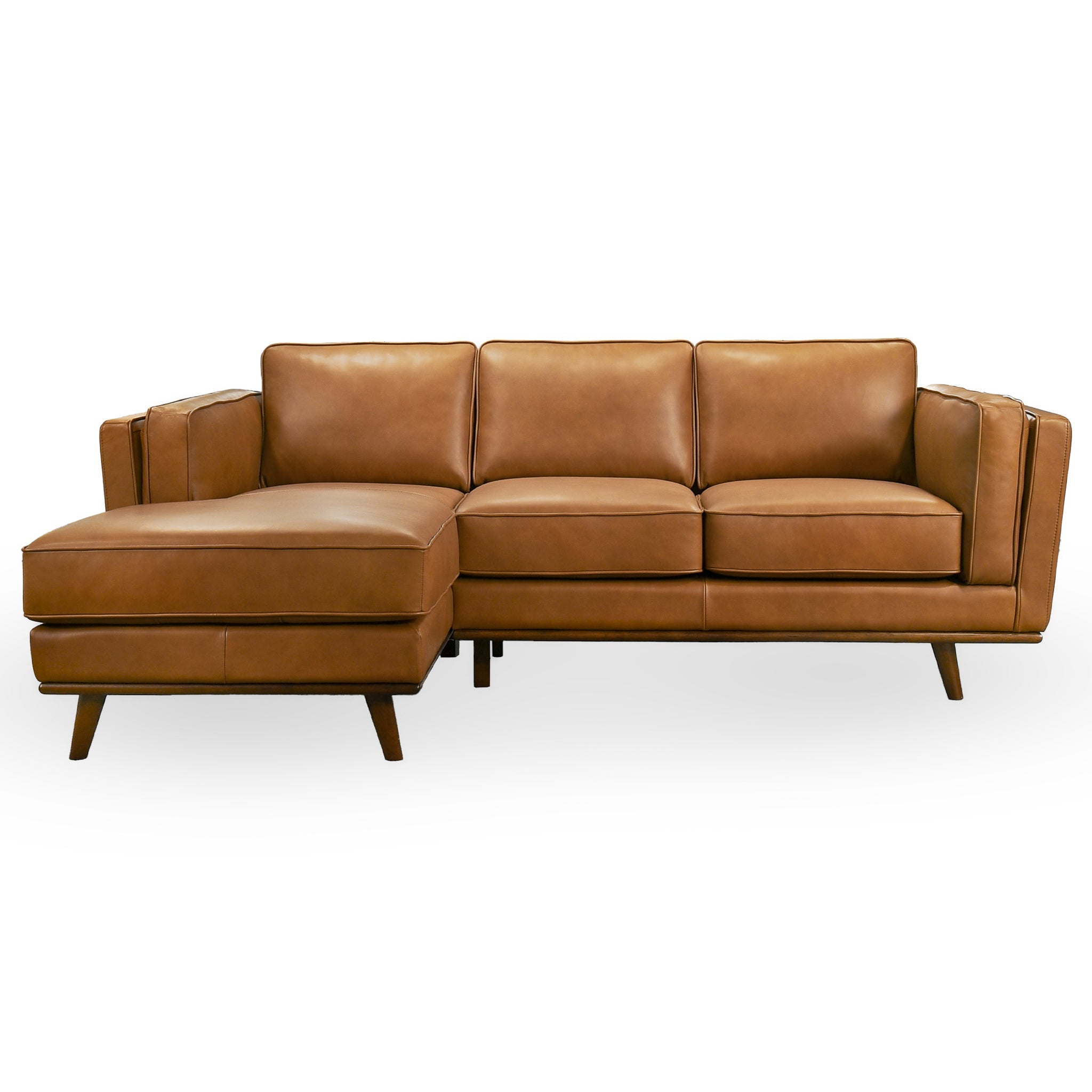 Ashcroft - Chase Genuine Leather Sectional