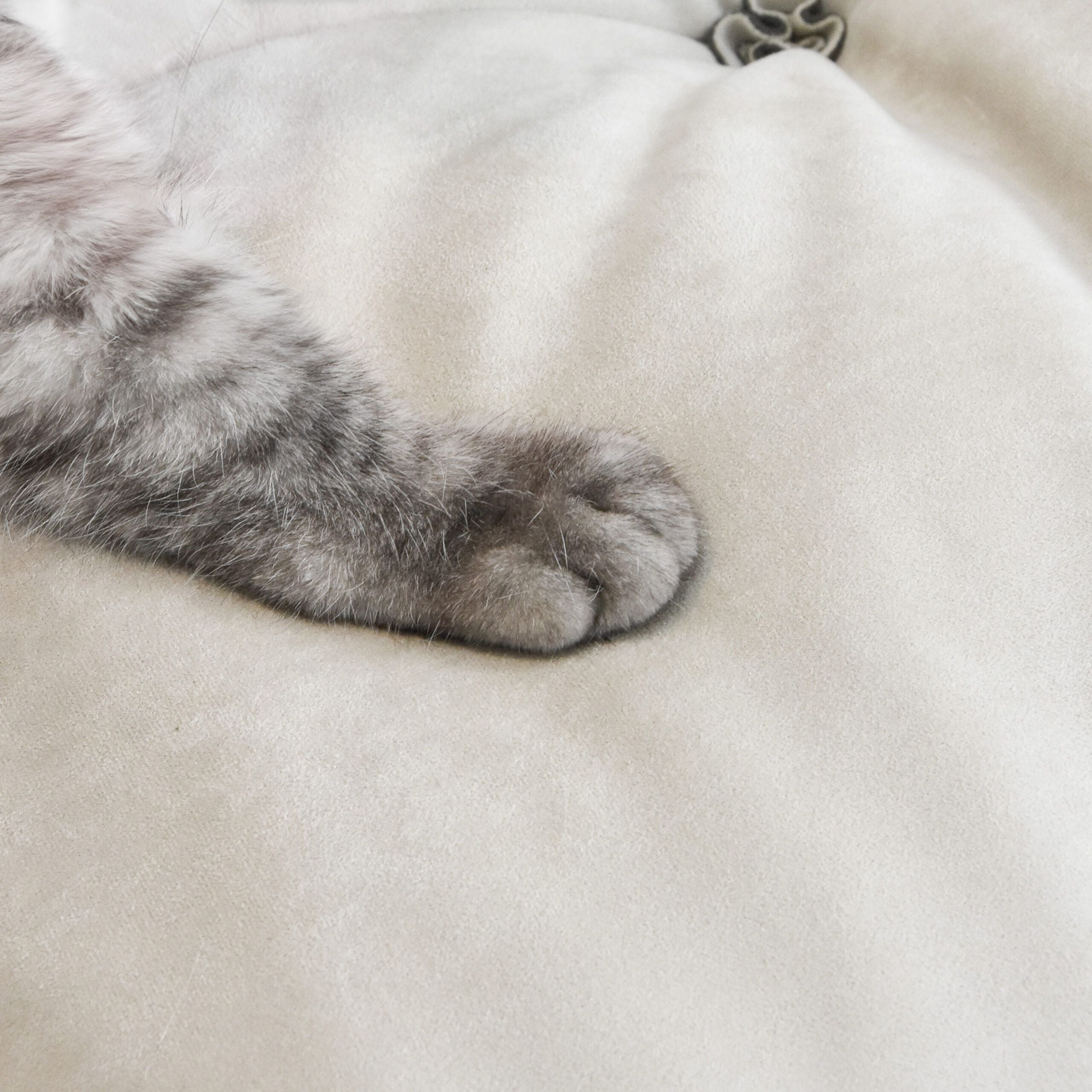 Crenus - Soffice Microfiber Suede Pet-friendly Sofa