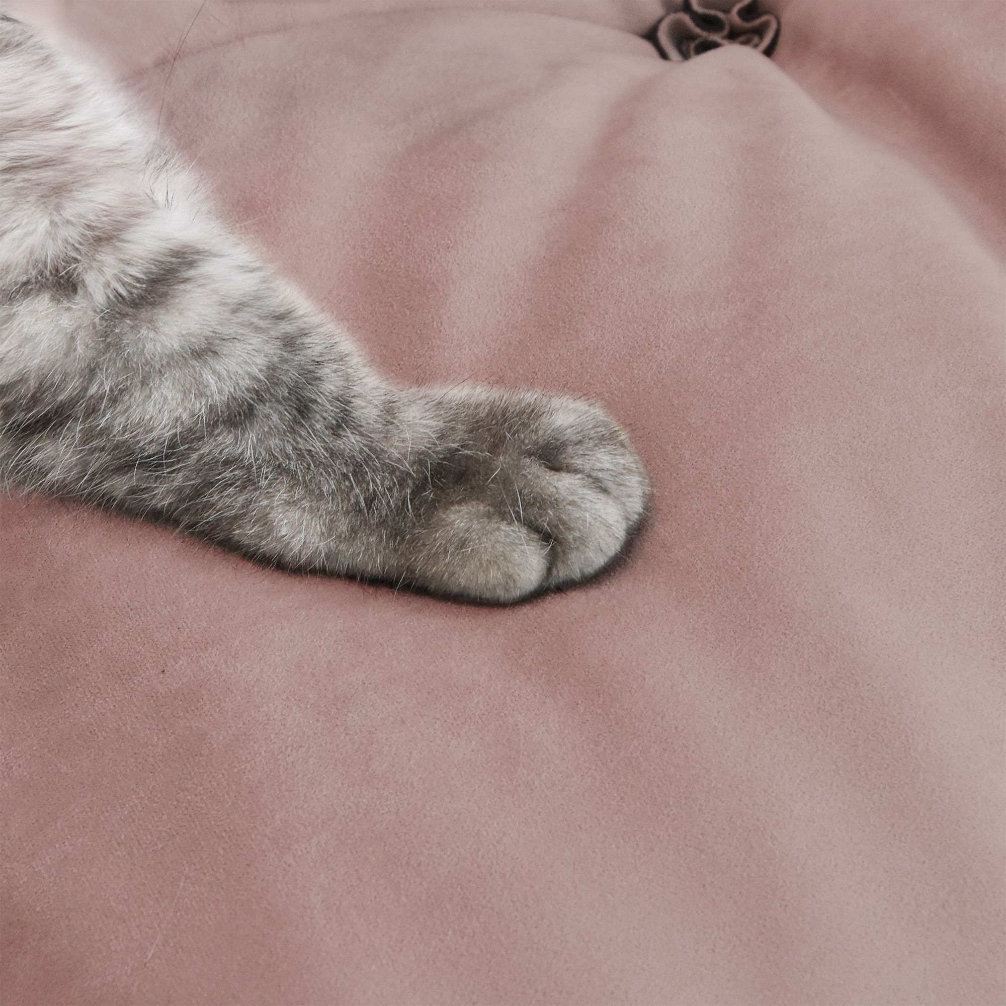 Crenus - Soffice Microfiber Suede Pet-friendly Sofa