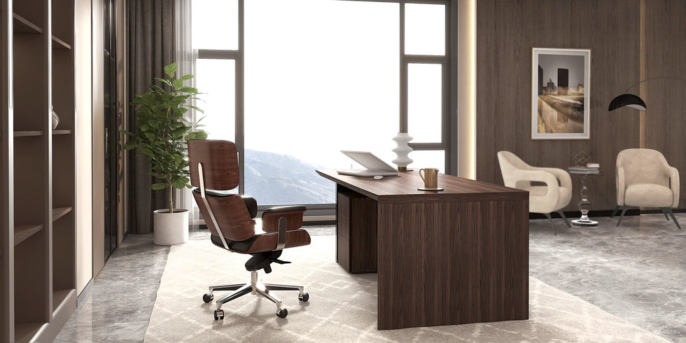 HMR - Modern Home Office Desk with Movable File Cabinet