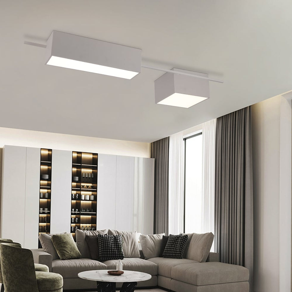 HMR - 2-Light Rectangle Modern Flush Mount LED Ceiling Light with Acrylic in White