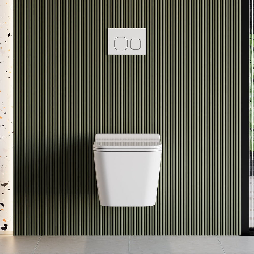 HMR - Wall-Hung Toilet with In-Wall Tank and Carrier System in White