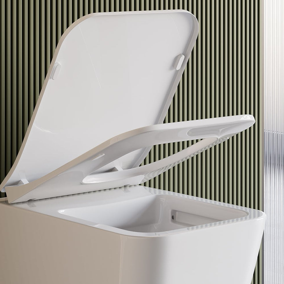 HMR - Wall-Hung Toilet with In-Wall Tank and Carrier System in White