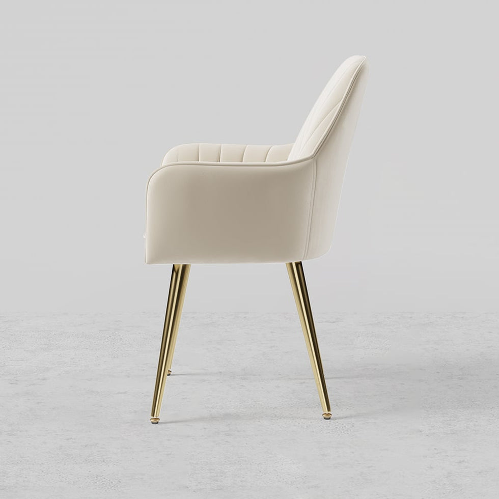 HMR - Modern Dining Chairs with Velvet Upholstery (Set of 2)