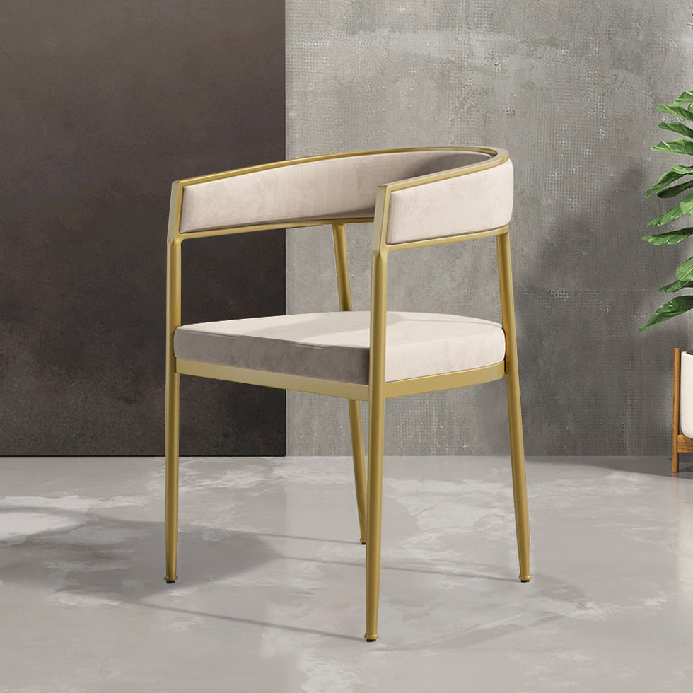 HMR - Modern Dining Chair with Upholstered Curved Back