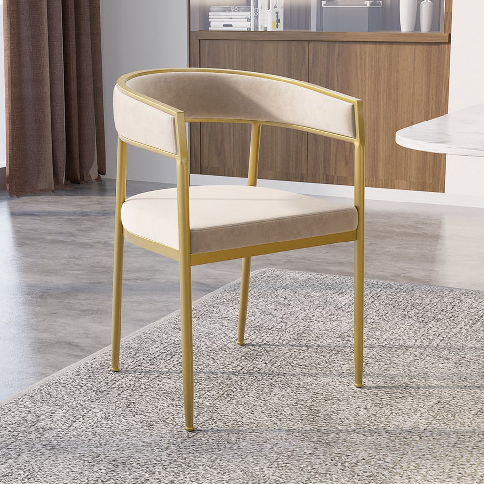 HMR - Modern Dining Chair with Upholstered Curved Back