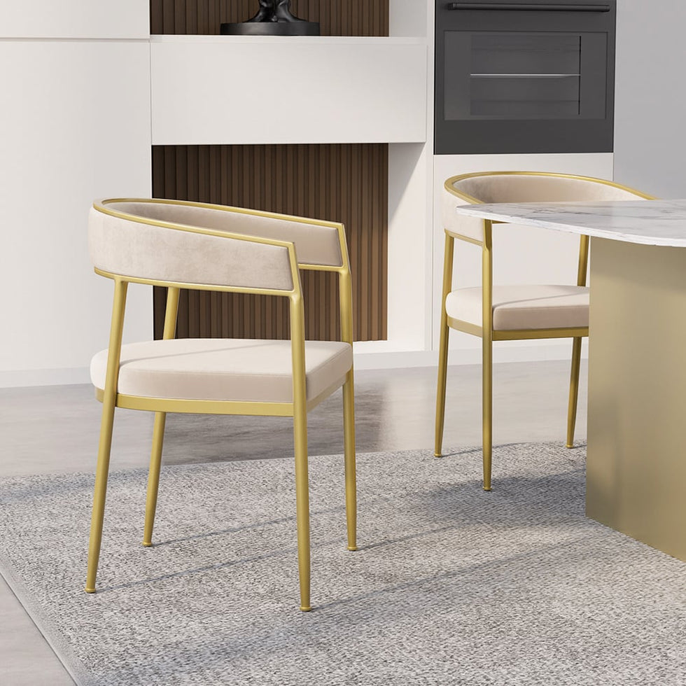 HMR - Modern Dining Chair with Upholstered Curved Back