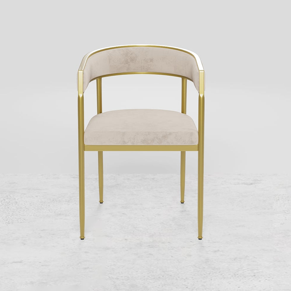 HMR - Modern Dining Chair with Upholstered Curved Back