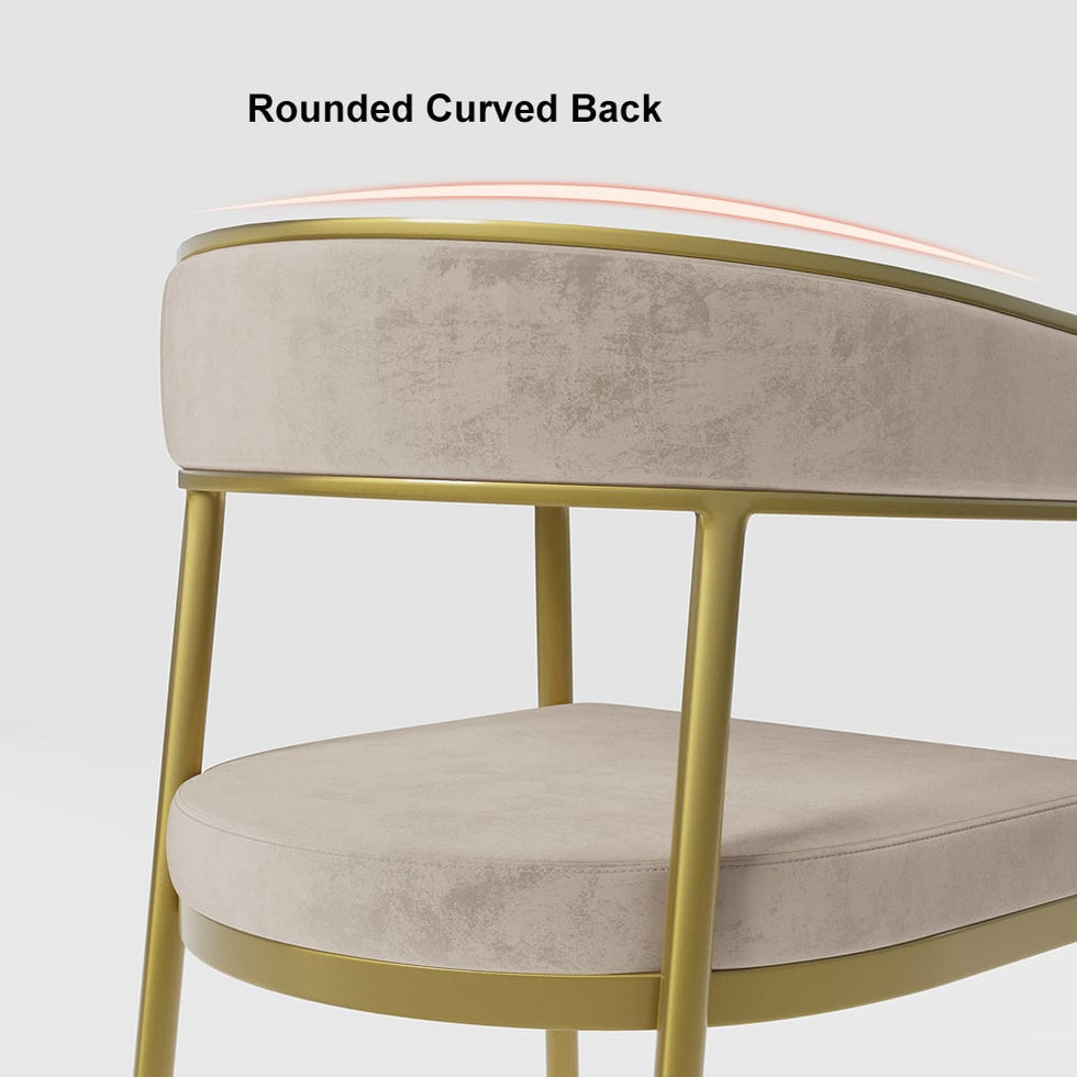 HMR - Modern Dining Chair with Upholstered Curved Back
