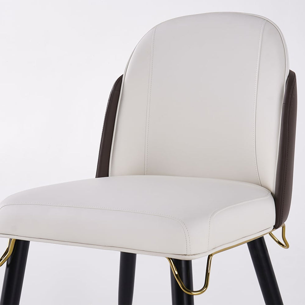 HMR - Modern Dining Chairs with PU Leather Upholstery (Set of 2)