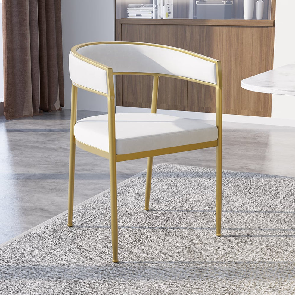 HMR - Modern Dining Chair with Upholstered Curved Back