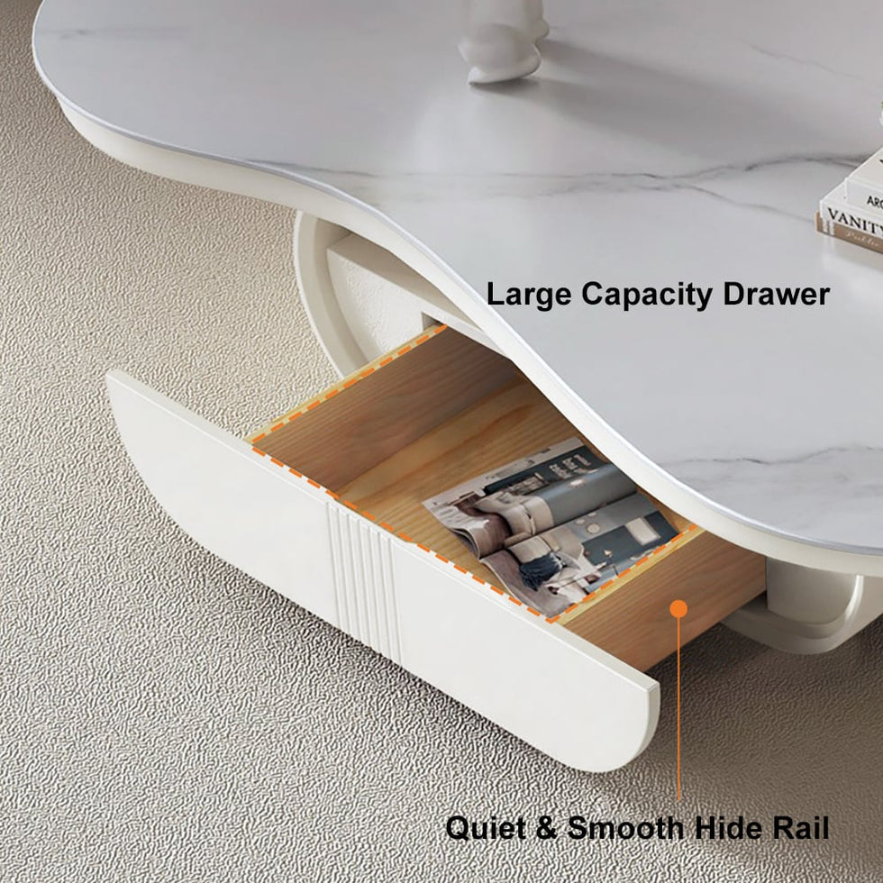 HMR - 51" Irregular Cloud Sintered Stone Coffee Table with Storage