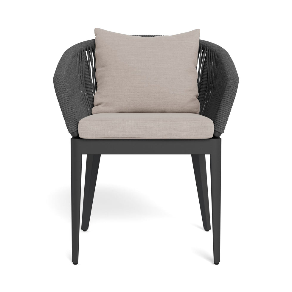 Harbour - Hamilton Dining Chair