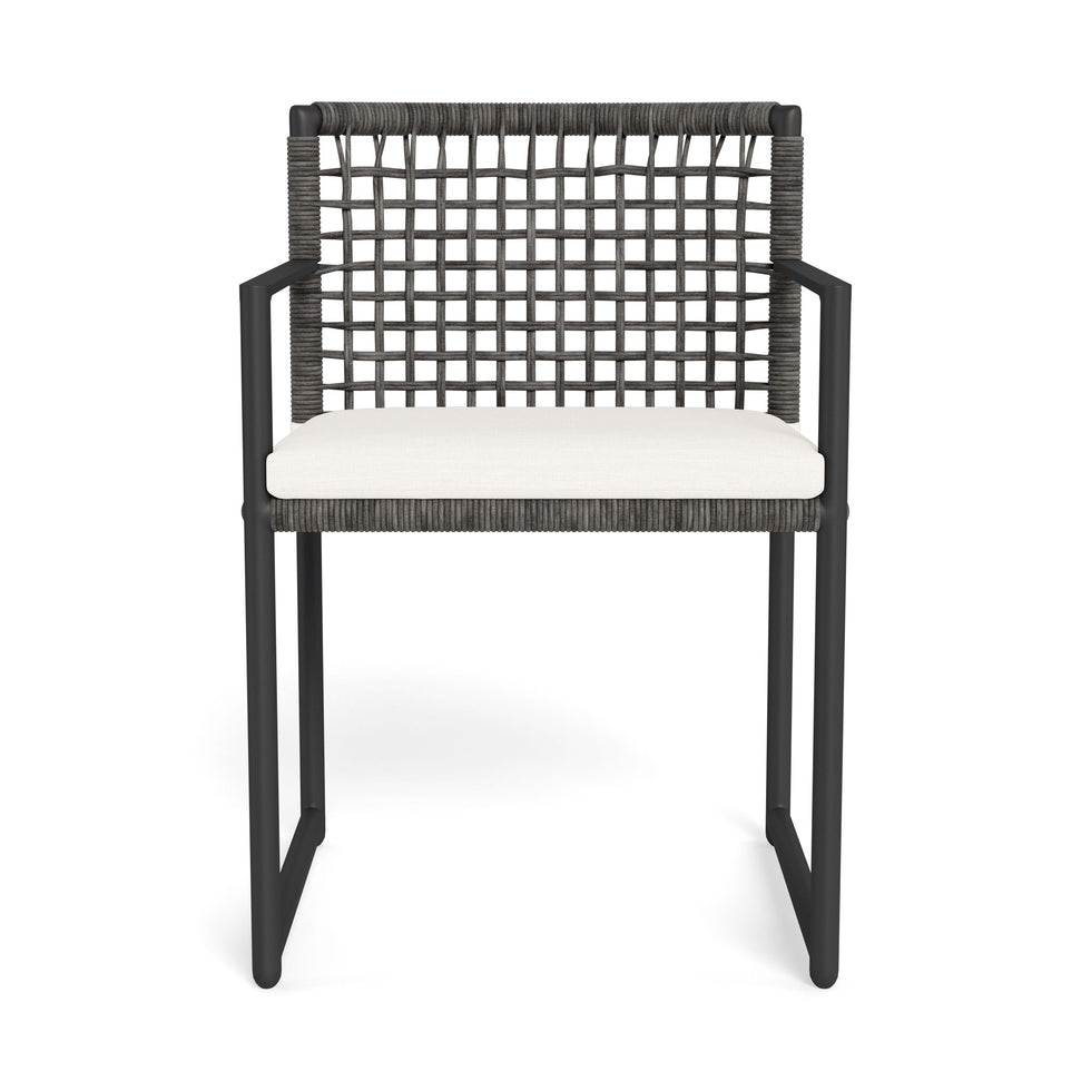 Harbour - Loop Dining Chair