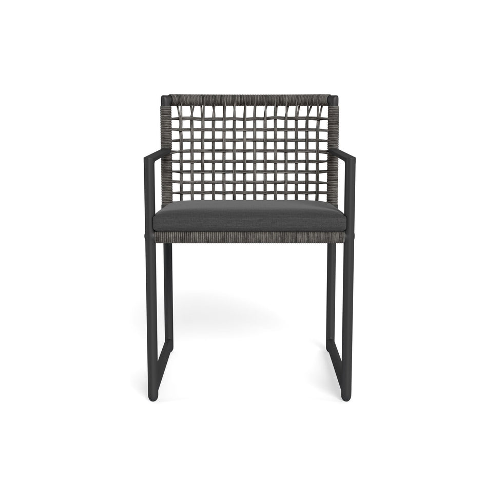 Harbour - Loop Dining Chair