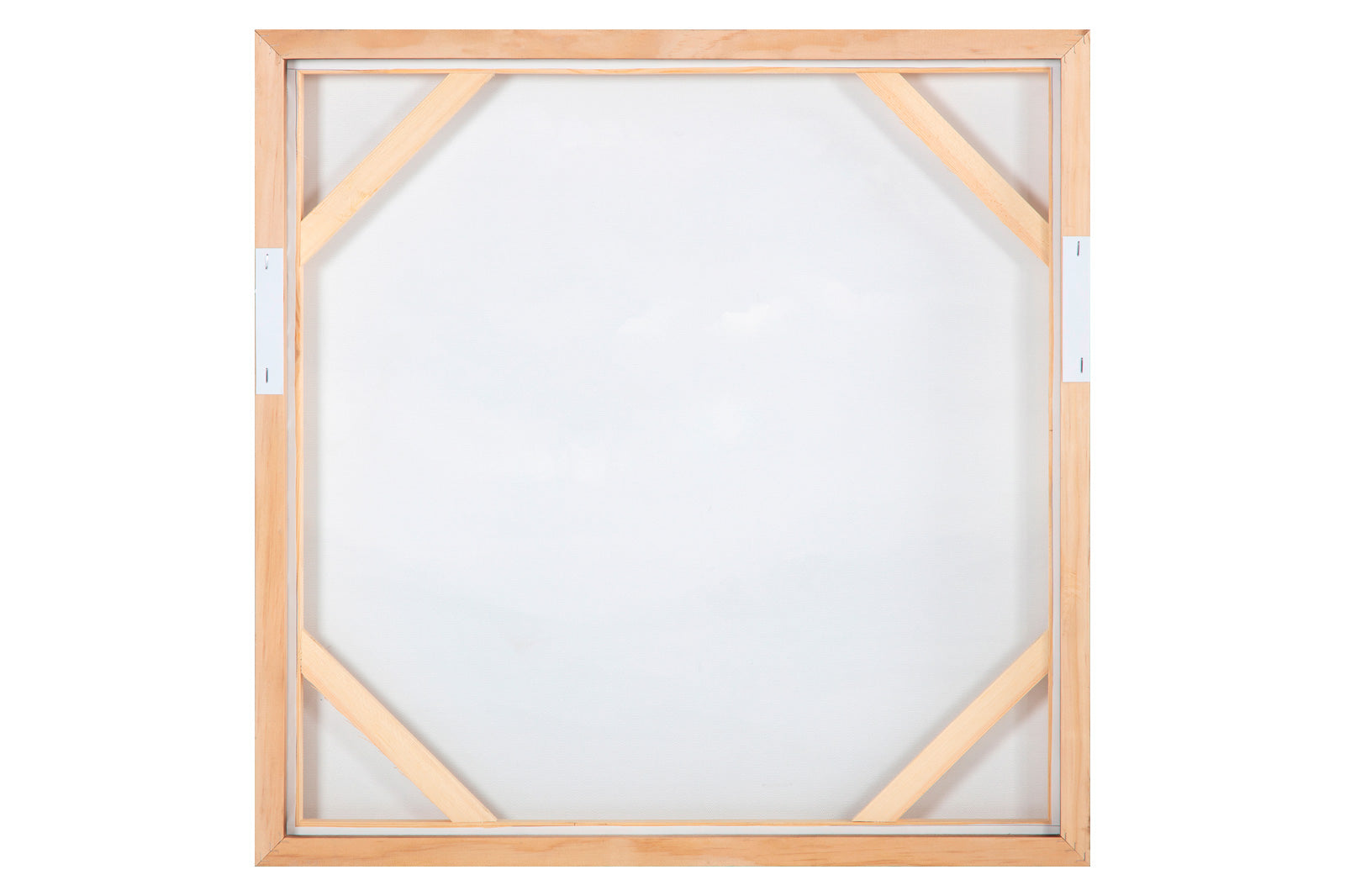 Moe's - Natural World Framed Painting