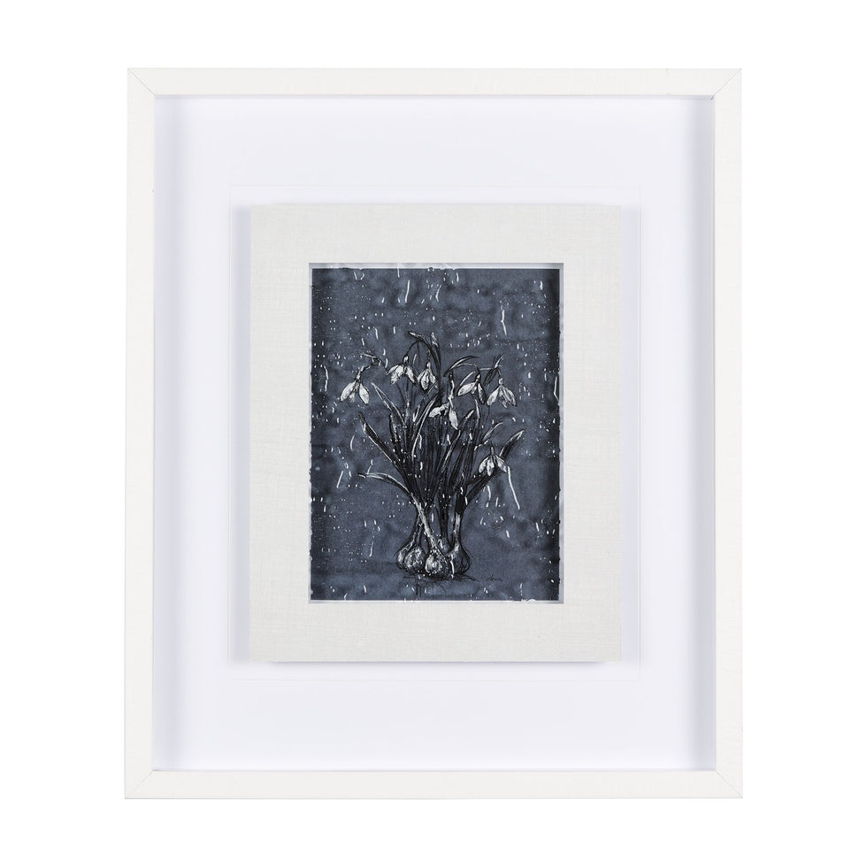 Mercana - Botanical Sketch