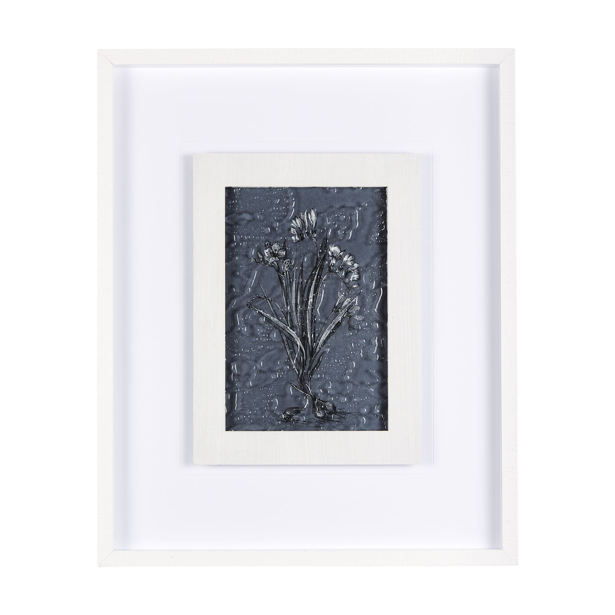 Mercana - Botanical Sketch