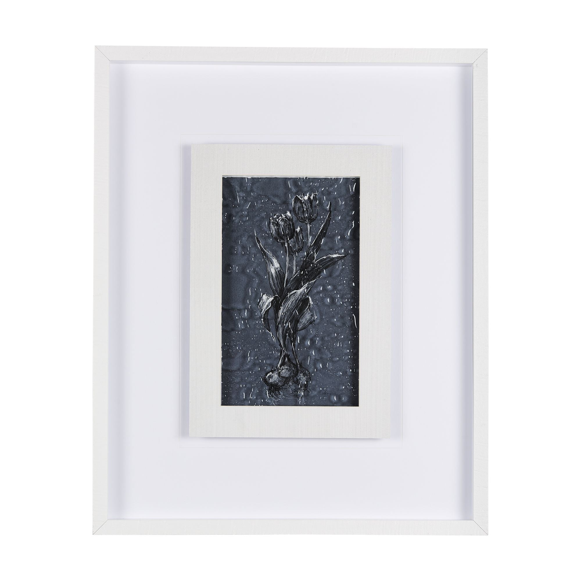 Mercana - Botanical Sketch