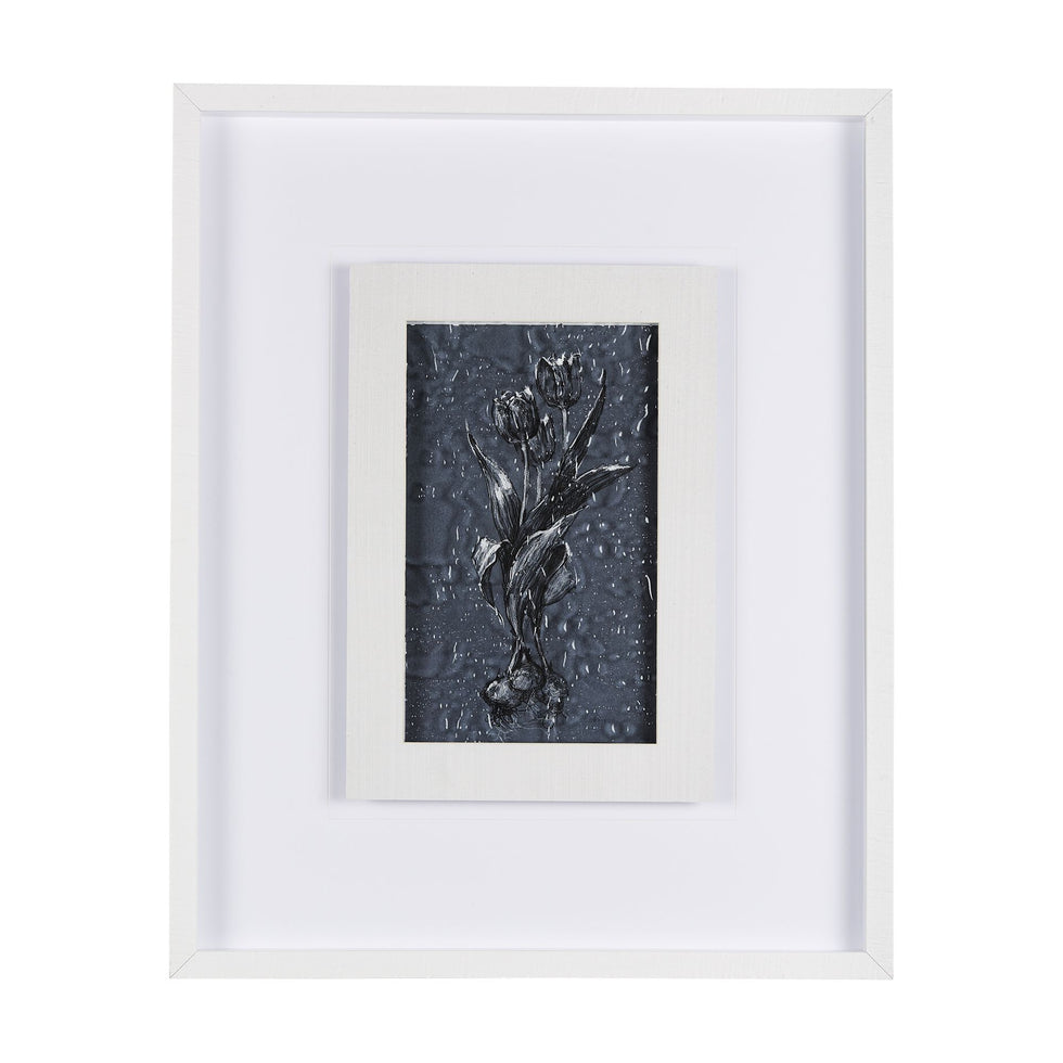 Mercana - Botanical Sketch