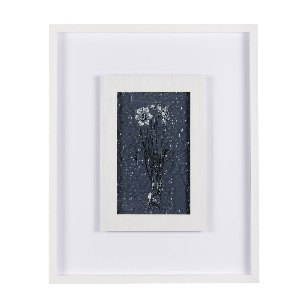 Mercana - Botanical Sketch