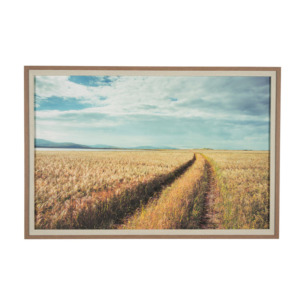 Mercana - Between The Fields