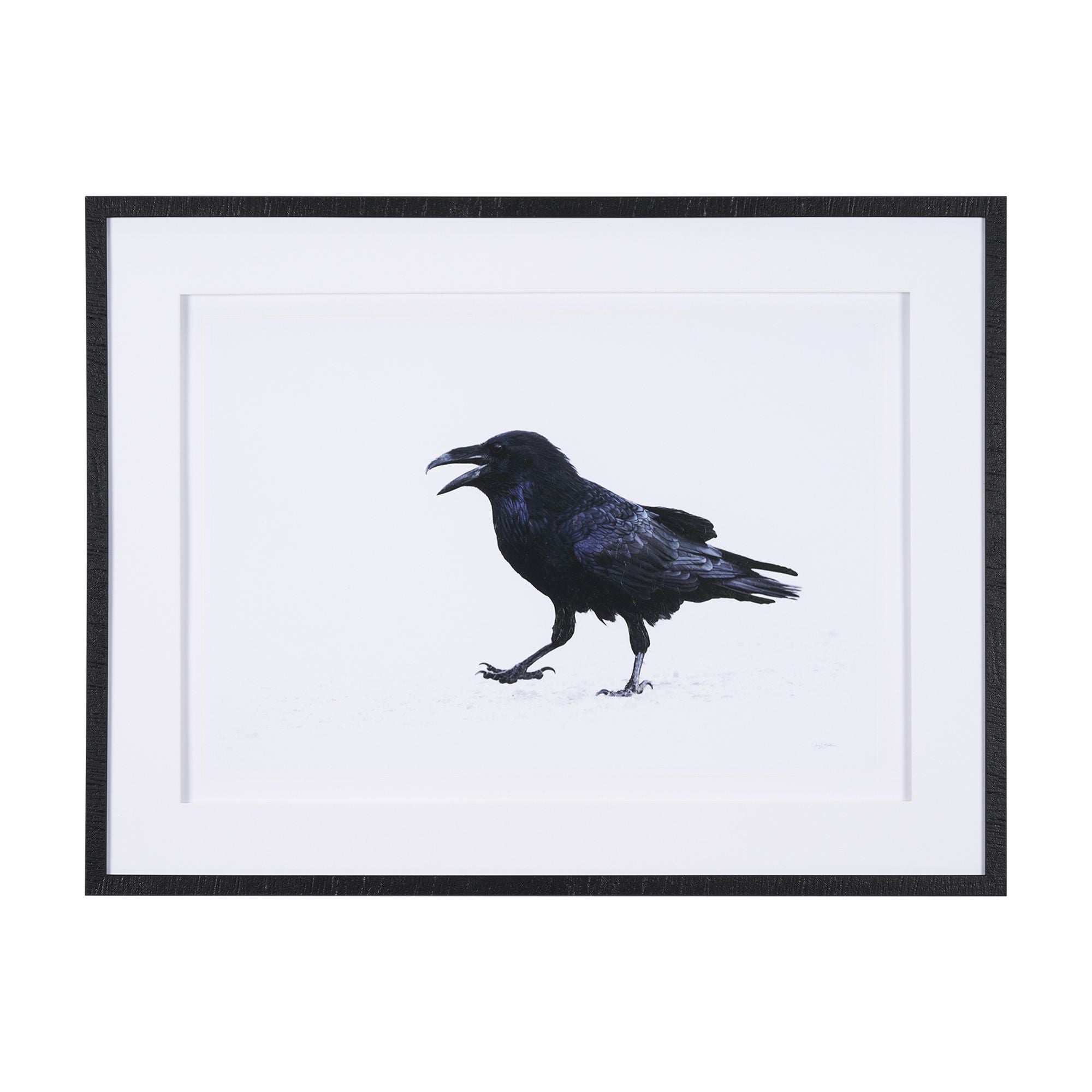 Mercana - Raven Beauty