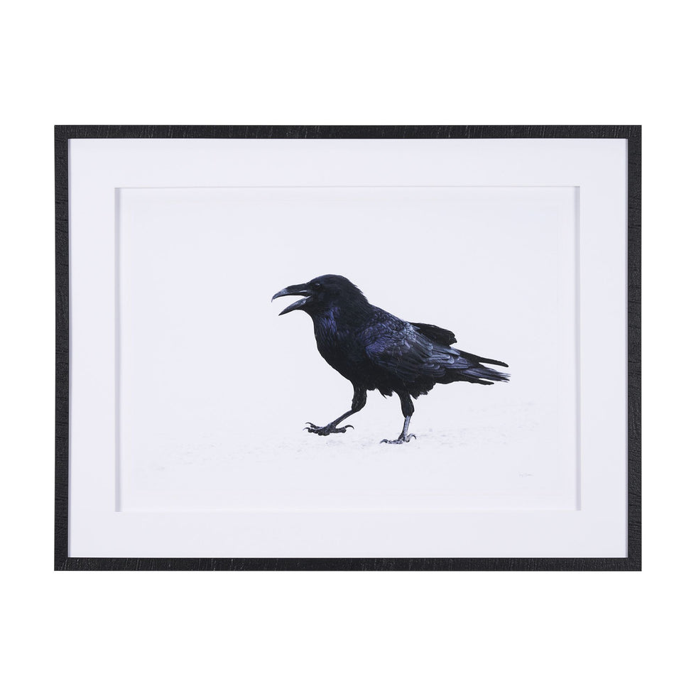 Mercana - Raven Beauty