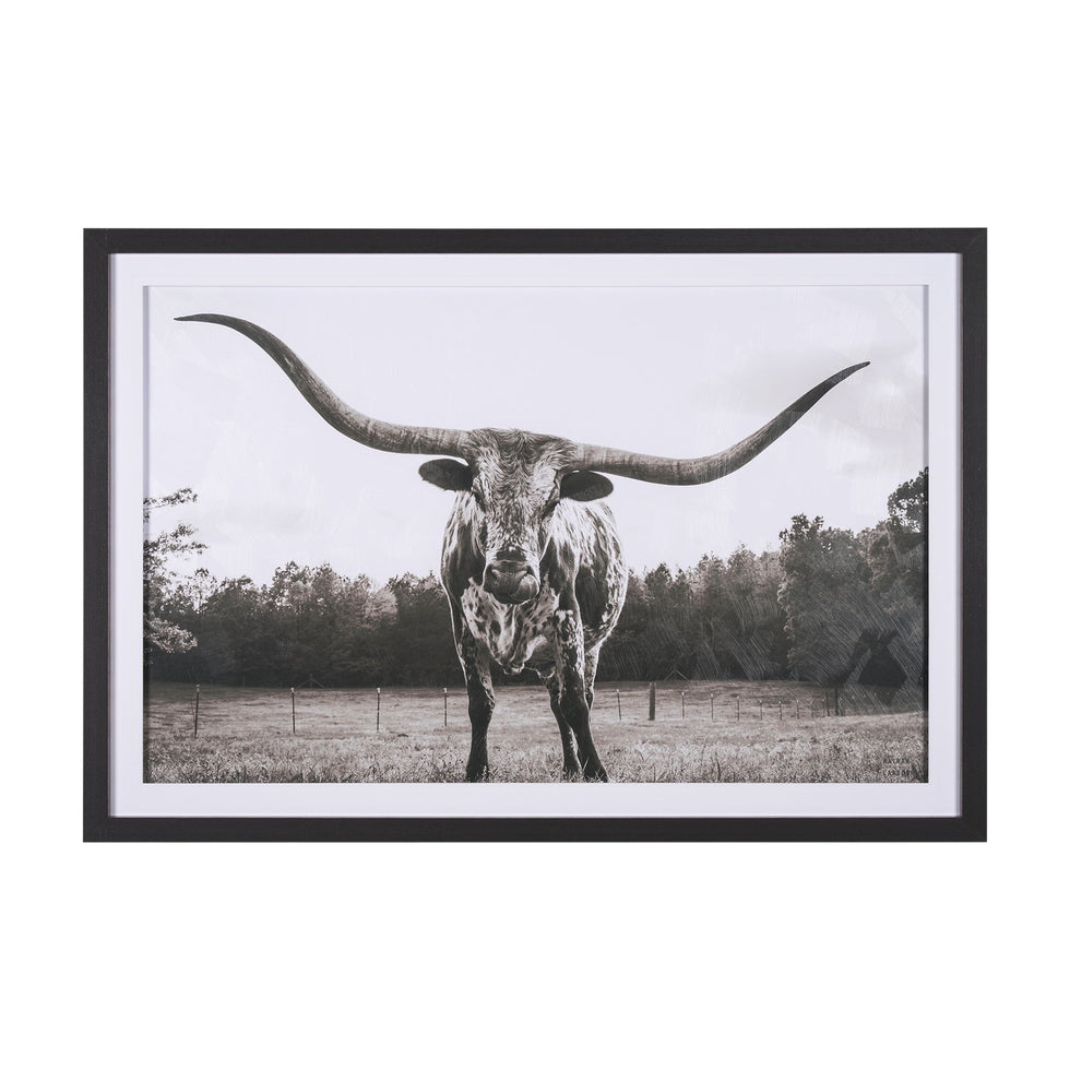 Mercana - Longhorn Last Call BW