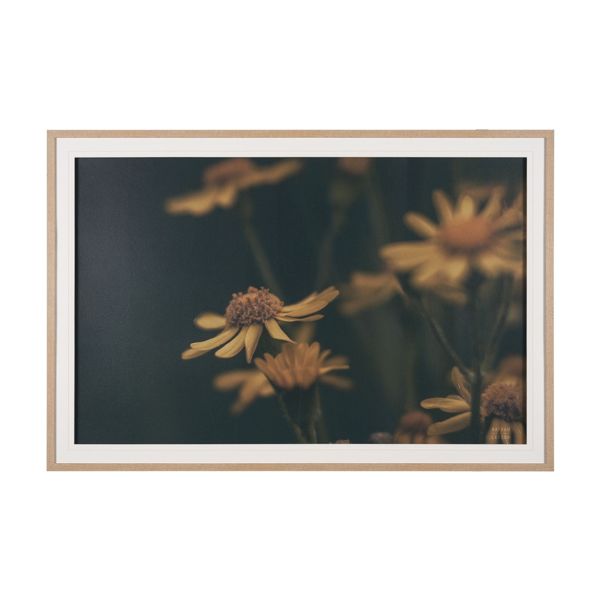 Mercana - Wild Blooms