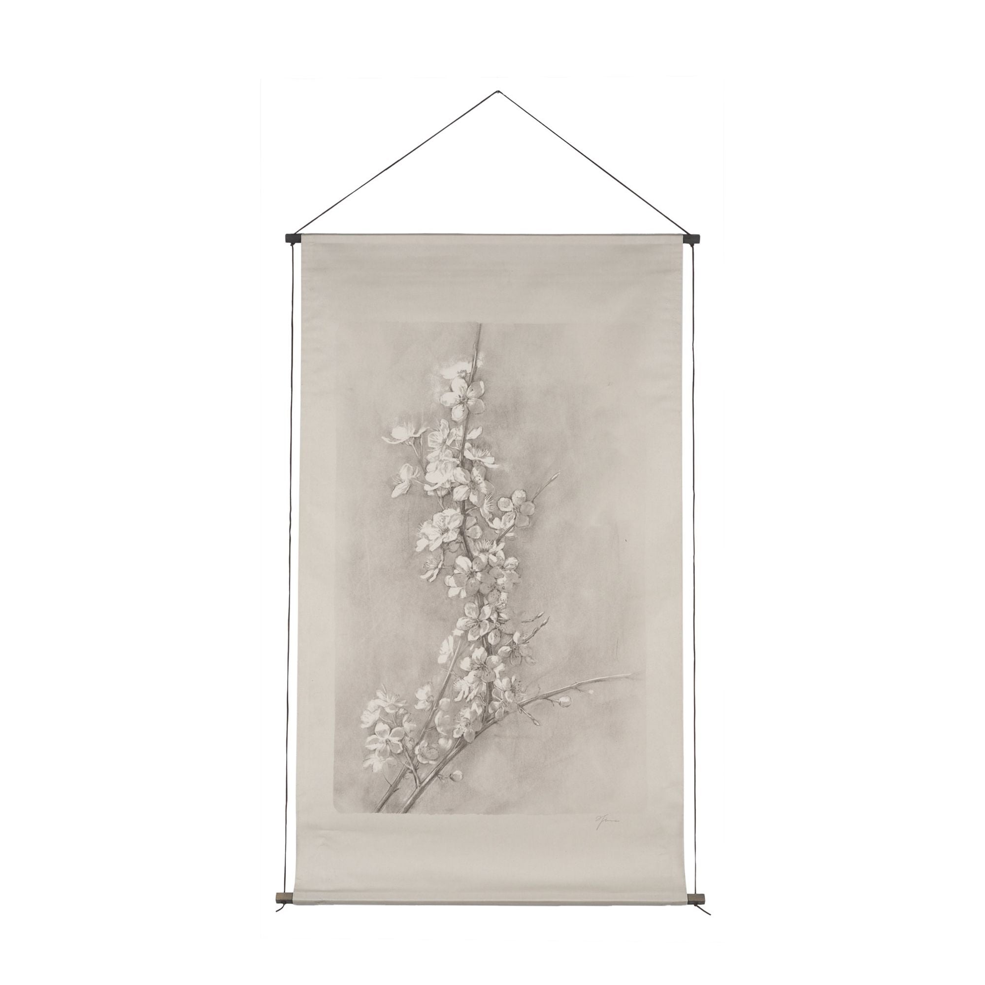Mercana - Cherry Blossom Sketch