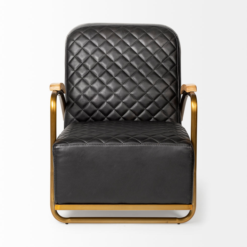 Mercana - Horace Leather Accent Chair in Black, Leather
