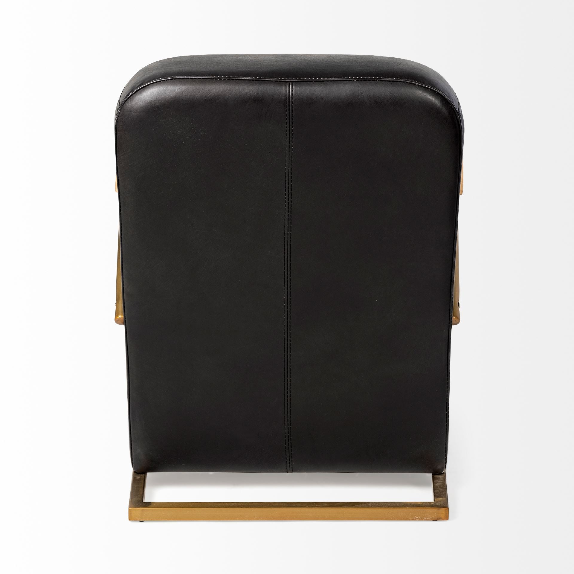 Mercana - Horace Leather Accent Chair in Black, Leather
