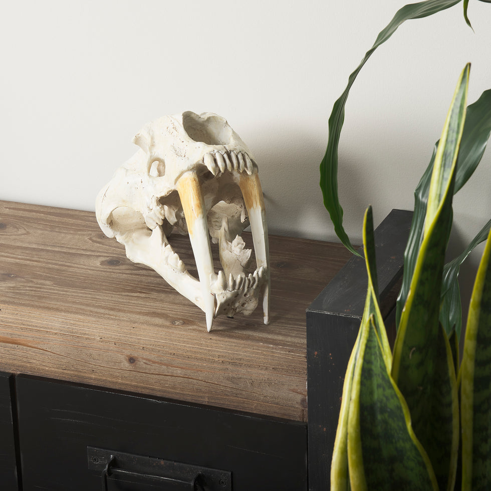 Mercana - Fozzil Object in Beige, Resin