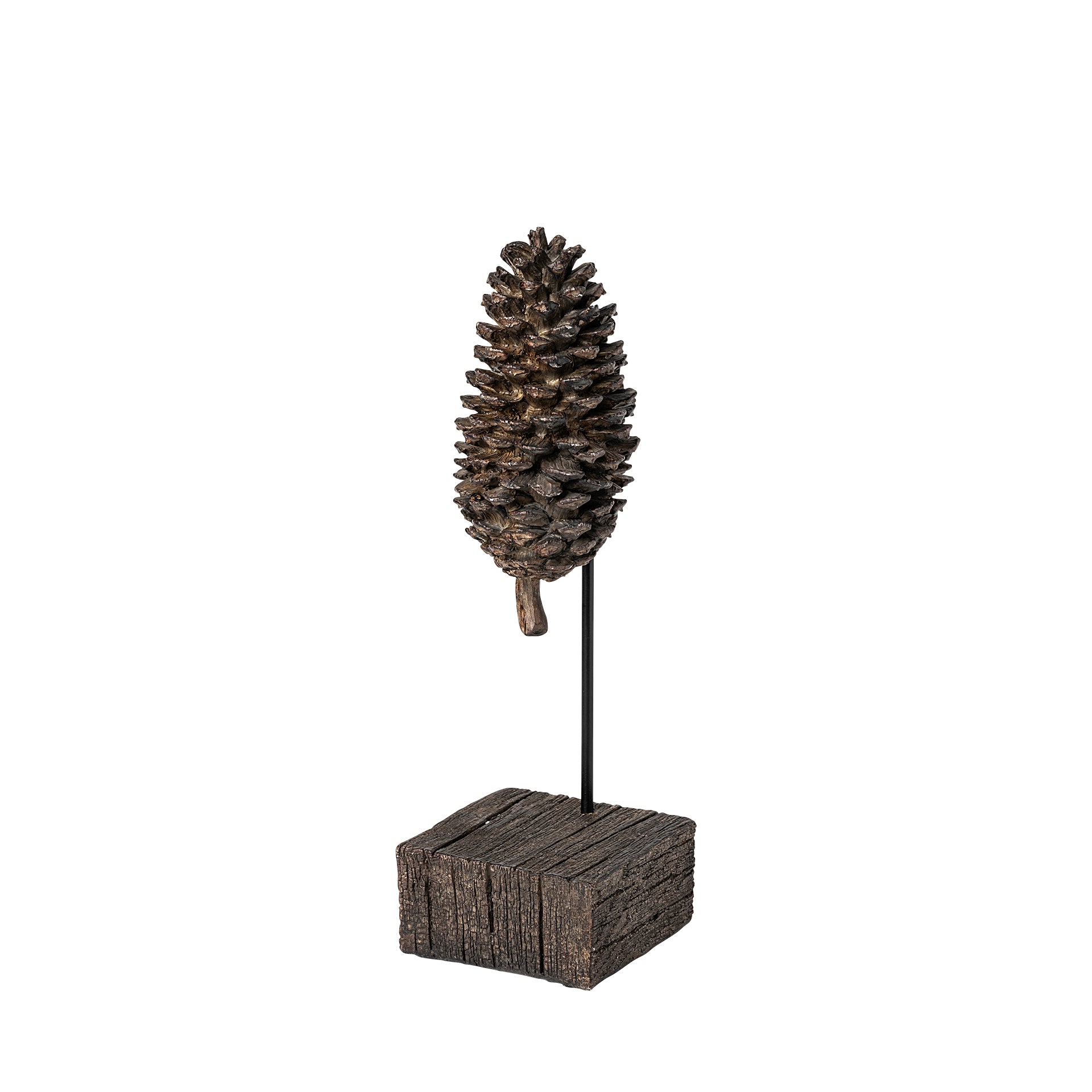 Mercana - Pinterra Object in Brown, Solid Wood